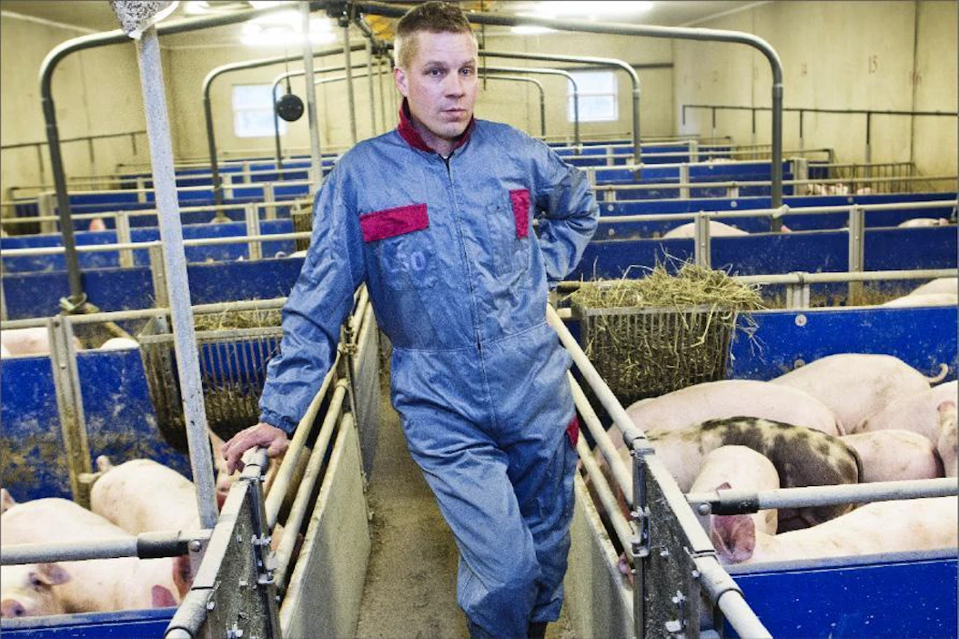 Huittislainen Satapossu ostaa syksyisiin liki miljoona kiloa rehuohraa tuoreena lähiseudun viljelijöiltä. Myyntihaluja on paljon enemmän kuin viljaa voidaan ottaa vastaan, toteaa toimitusjohtaja Vesa Harjunmaa Satapossulta. Kari Salonen
