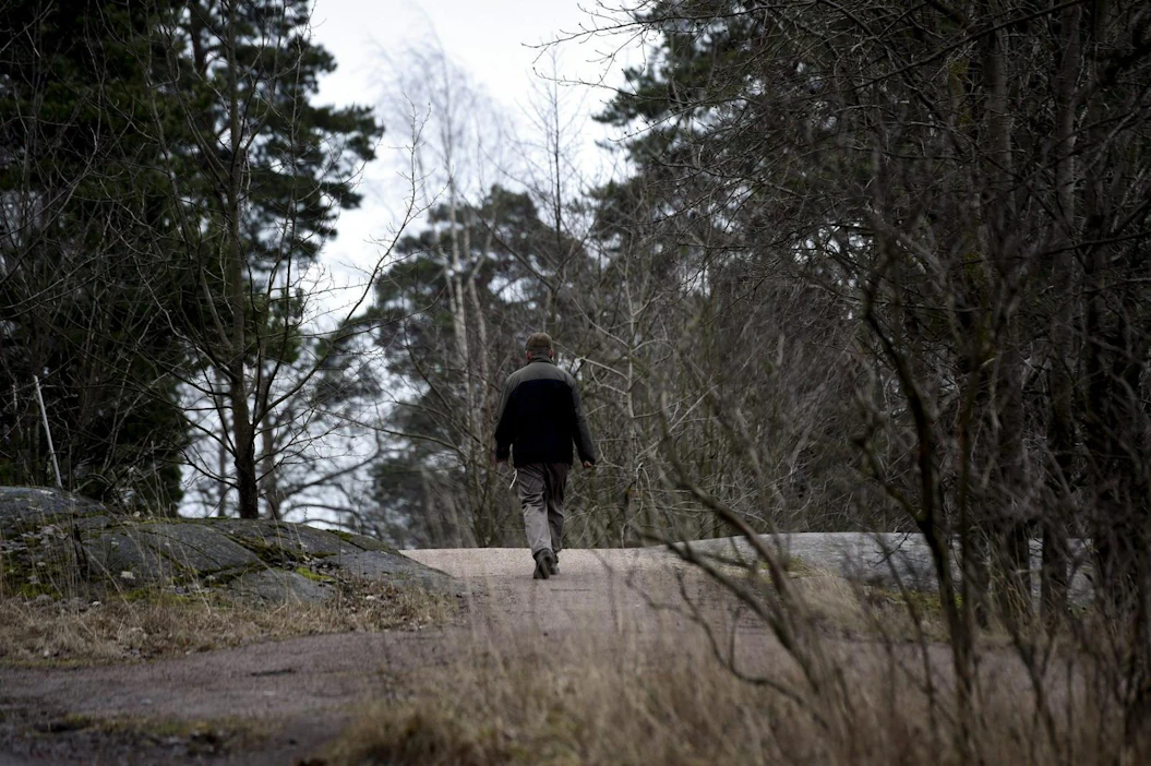 Leudommat talvet mitä luultavimmin lisäävät rottien ja koettujen rottaongelmien määrää Suomessa. LEHTIKUVA / EMMI KORHONEN