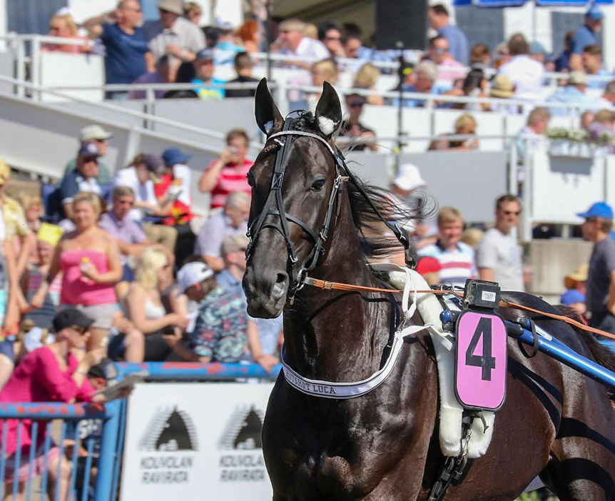 Hotshot Luca on UET Grand Prix'n karsinnoissa ainoa Suomessa syntynyt nelivuotias.