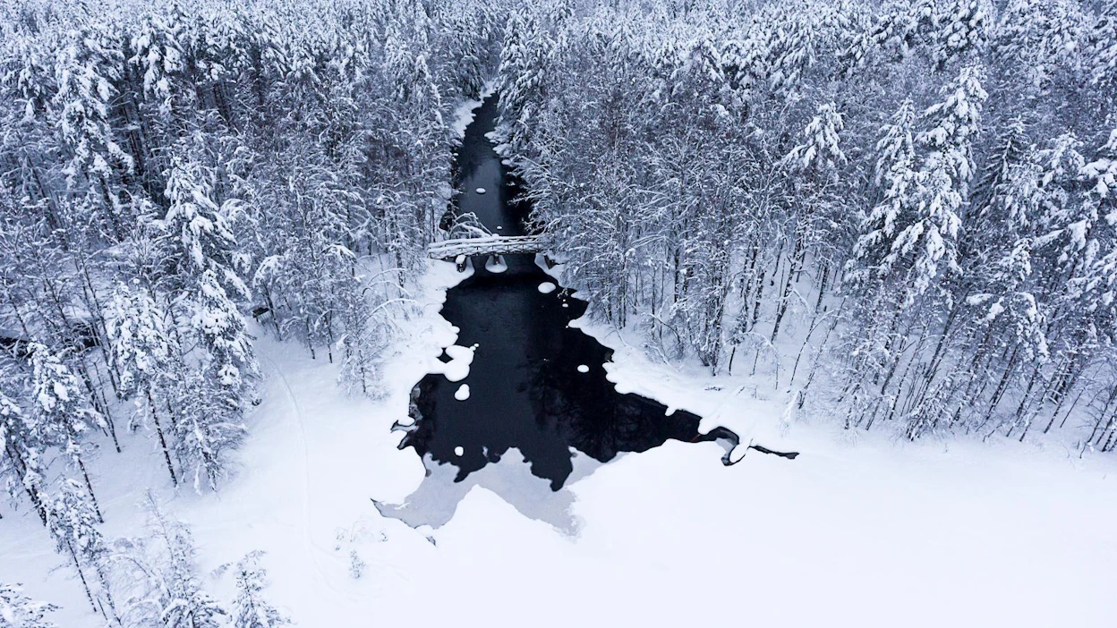 Luonnonsuojelulakiin lisätään uusia luontotyyppejä, mutta maanomistajan velvollisuus ei ole tunnistaa luontoarvoja.