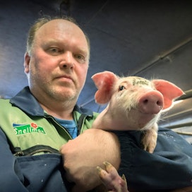 Reijo Korpelan mukaan sikatalouden kannattavuus saadaan nousuun vain ja ainoastaan paremmalla sianlihan tuottajahinnalla.