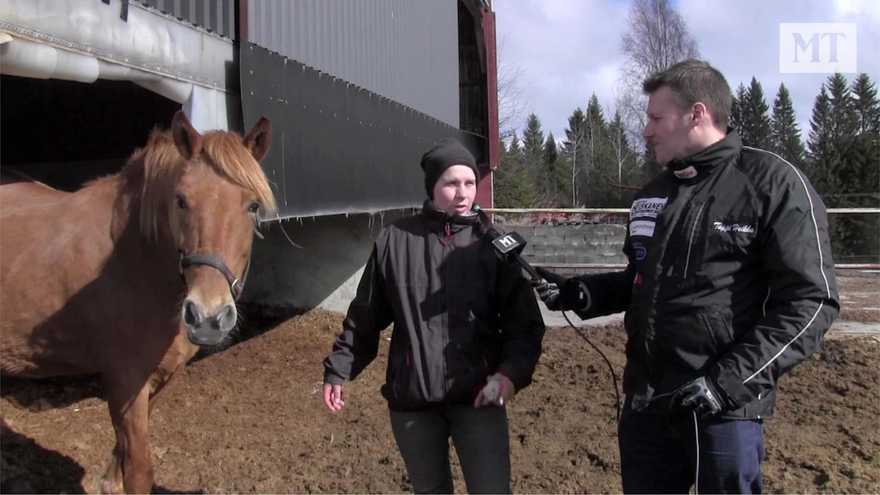 Anna-Kaisa Tenhusella ja hänen miehellään Miika Tenhusella on tallissaan 20 valmennettavaa hevosta ja 8 siitostammaa. Toimittaja Tappi Hoikka kyseli Anna-Kaisalta menestymisen salaisuutta.