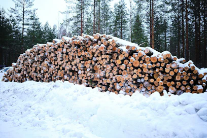 Metsäverovelvollisia Suomessa oli vuonna 2020 noin 229 000. Metsätalouden puhdas pääomatulo metsänomistajaa kohti oli aktiivimaatiloilla 6 590 euroa, passiivimaatiloilla 3 890 ja vain metsämaata omistavilla 3 580 euroa.