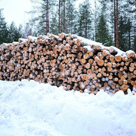 Metsäverovelvollisia Suomessa oli vuonna 2020 noin 229 000. Metsätalouden puhdas pääomatulo metsänomistajaa kohti oli aktiivimaatiloilla 6 590 euroa, passiivimaatiloilla 3 890 ja vain metsämaata omistavilla 3 580 euroa.