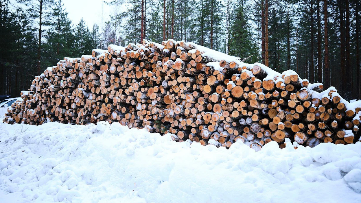 Metsäverovelvollisia Suomessa oli vuonna 2020 noin 229 000. Metsätalouden puhdas pääomatulo metsänomistajaa kohti oli aktiivimaatiloilla 6 590 euroa, passiivimaatiloilla 3 890 ja vain metsämaata omistavilla 3 580 euroa.