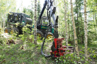 Energianpuunkorjuu on hidasta, jos metsä on hoitamaton. Kuvan leimikko ei liity juttuun.