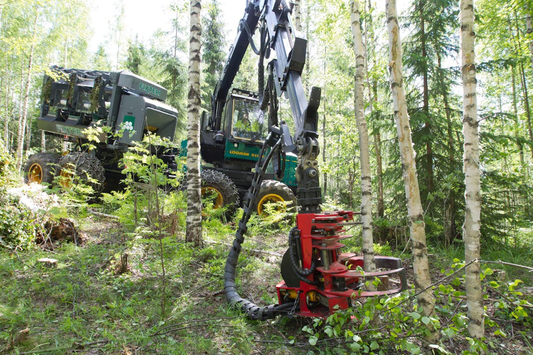 Energianpuunkorjuu on hidasta, jos metsä on hoitamaton. Kuvan leimikko ei liity juttuun.