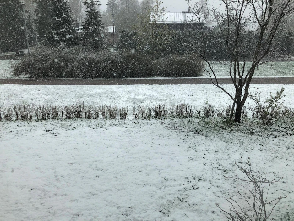 Maisema keravalaisen keittiön ikkunasta muuttui yhdessä yössä melkein kesästä yhtäkkiseen talveen.