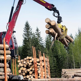 Puukaupassa vauhti kiihtyy, mutta vielä ollaan jäljessä ennätysvuoden 2018 määristä.