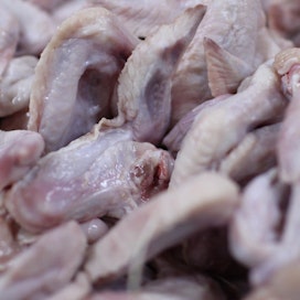 Kiinassa löydettiin koronavirustartunta pakastetuista kanansiivistä. Kuvituskuva.