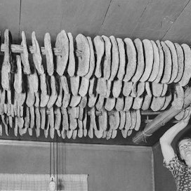 Kansallisruoka ruisleipääkin on valmistettu eri tavoilla Suomen eri osissa. Idässä sitä leivottiin viikoittain, lännessä pari kertaa vuodessa. Idässä syöty leipä on siis ollut tuoretta, lännessä kuivempaa. Leipävarastoa nostetaan vartaille varsinaissuomalaisessa Kuusjoen pitäjässä 1940-luvulla.