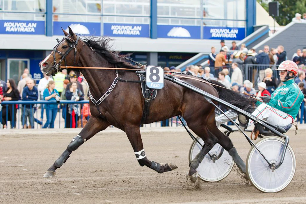 Mark Moren, 11,5, ura on paketissa. Christa Packalénin tallin toisesta tähdestä Stonecapes Queilasta sen sijaan on hyviä uutisia.