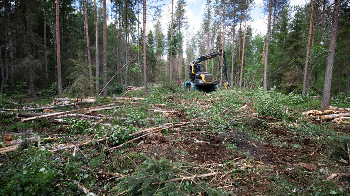 Myös EU keskustelee siitä, miten turvemaiden ilmastokuormaa saataisiin pienennettyä.