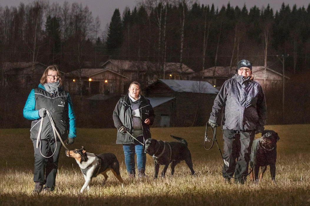 Suden hajun ilmaisuun opetettu toimiva koira on hyvä työkalu susien liikkeiden havainnointiin. Tällaista työkalua voi käyttää tarkistamaan esimerkiksi metsästys- ja koemaastoja tai maatilojen ympäristöjä, sanoo Irene Turunen, Hukkatiimin perustaja (vas.). Hänen koiransa lyhytkarvainen collie Hymmi on Hukkatiimissä. Hukkatiimissä on mukana myös Kirsi Loijas labradorinnoutaja Charmi (kesk.) sekä Piia Lehikoinen ja rottweiler Armi.