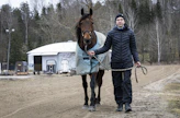 Kauppatieteen maisteri Jussi Päkki opiskelujen parissa: Flaps Out on paitsi Marinka Salmisen valmennustallin huippuhevonen, myös hoitajansa Jussin suosikkipersoonallisuus.