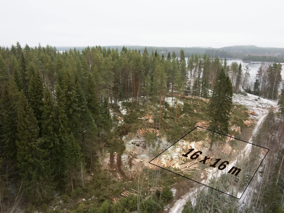 Viitasaaren Hännilänsalmella, Keiteleen rannoilla hakattiin metsikkökuvioita vuosi sitten.
