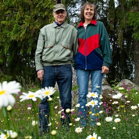 Jukka ja Eija Vironen keskellä kukkaketoa, jonka hoidoksi riittää niittäminen. Kedot ja niityt ovat harvinaistuneet, ne ovat arvokkaita elinympäristöjä monille lajeille