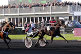 Ready Cash vie kuvassa Prix d’Ameriquen 2011 Franck Nivardin ohjastamana. Kakkoseksi jää Ruotsin Maharajah, jonka kanssa Ready Cash on hallinnut Euroopan siitosmarkkinoita vuosia.