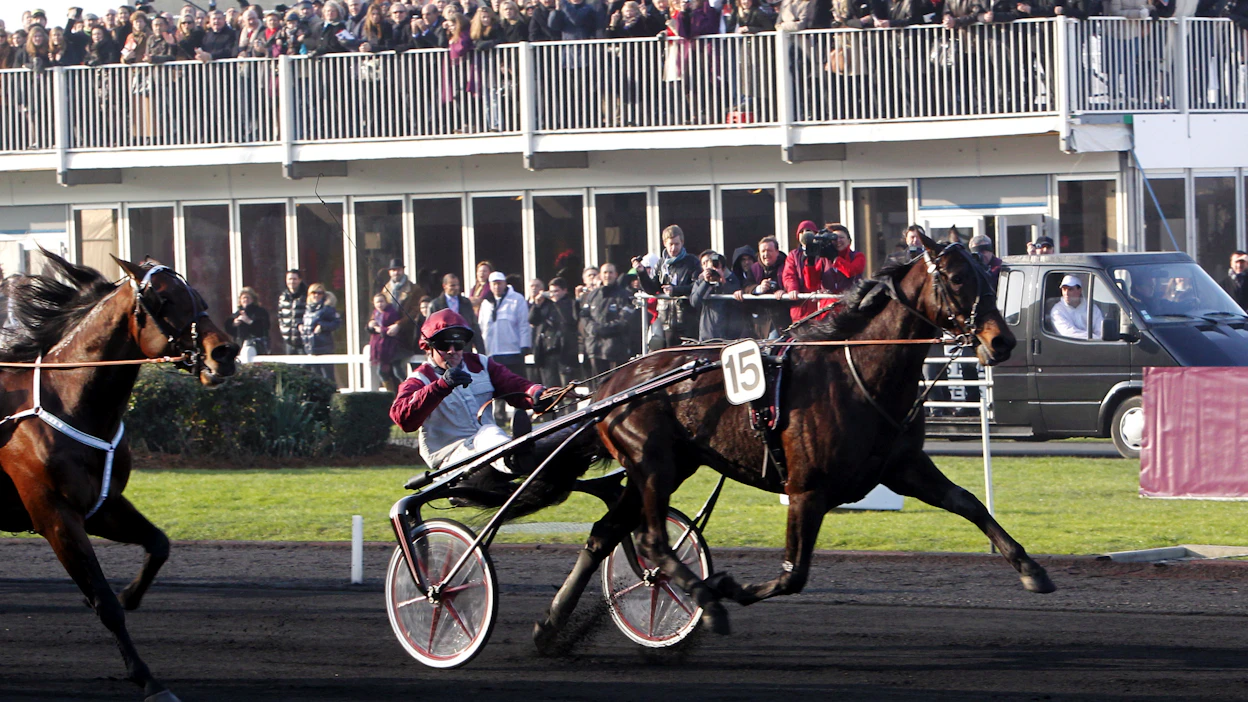 Ready Cash vie kuvassa Prix d’Ameriquen 2011 Franck Nivardin ohjastamana. Kakkoseksi jää Ruotsin Maharajah, jonka kanssa Ready Cash on hallinnut Euroopan siitosmarkkinoita vuosia.