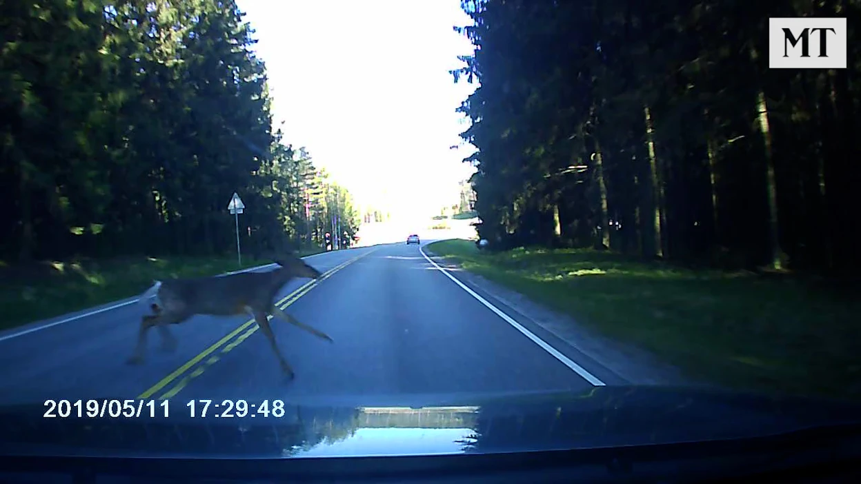 Kolarivideon aikaleimassa on väärä vuosiluku. Video on kuvattu auton kojelautakameralla.