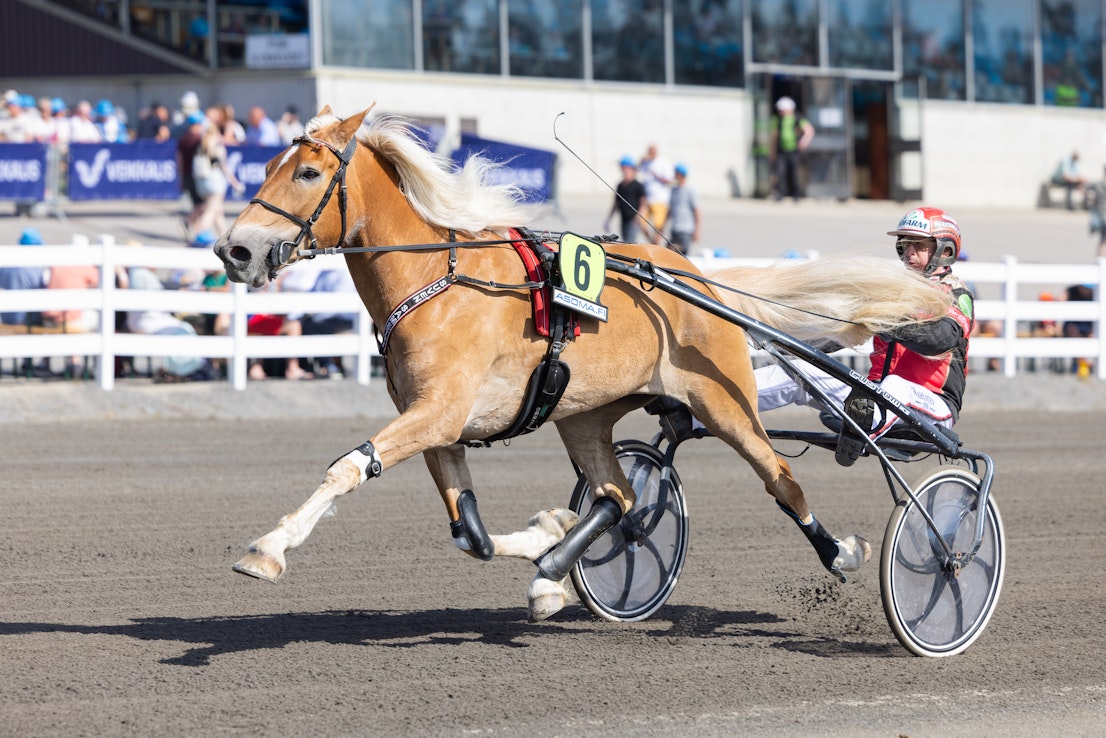 Tapio Perttunen uskoo, että Suven Sametilla on edessä Vermon notkahduksesta huolimatta mainio kesä. 