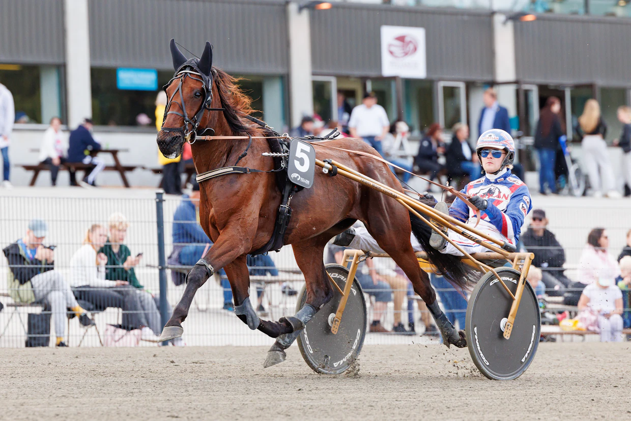 Kylie Hoss kuuluu Kouvolassa lähtönsä suosikkien joukkoon. Kuvassa hevosta ohjastaa Olli Koivunen.