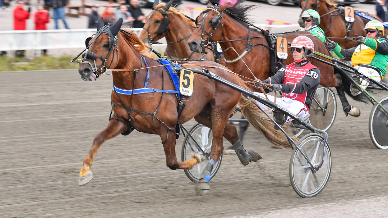 Alarik Huikea piti Landen Toivon ja Välkkerin takanaan nelivuotiaiden ykköslähdössä Kriteriumissa. Kuinka käy viisivuotiaiden Derbyssä?