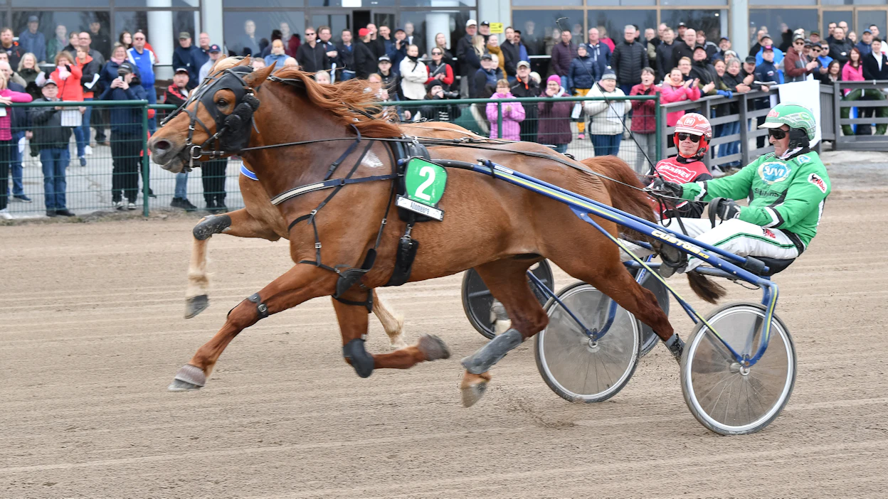 Ari Moilasen V.G. Voitto piti Santtu Raitalan Stallonen takanaan viimeksi Seinäjoella.