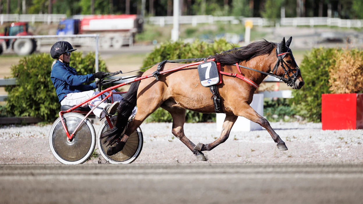 Iida Vironen ja Hillshead’s Lightning veivät nimiinsä B-ponien Ponikypärät-kilpailusarjan.