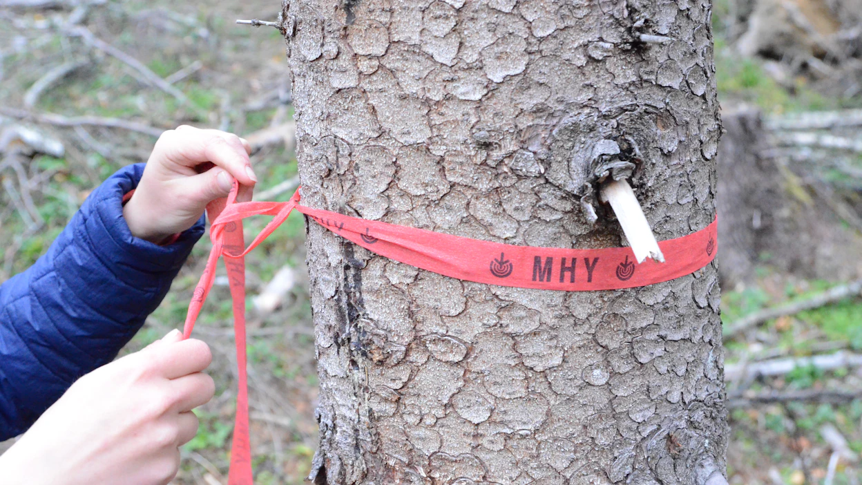 Metsänhoitoyhdistykset parantavat palvelua ja lisäävät tehoa toimintaan kokoa kasvattamalla.