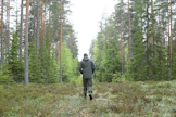 Hiilimarkkina voi tarjota metsänomistajille mahdollisuuksia, mutta markkinan ymmärtäminen on vaikeaa.