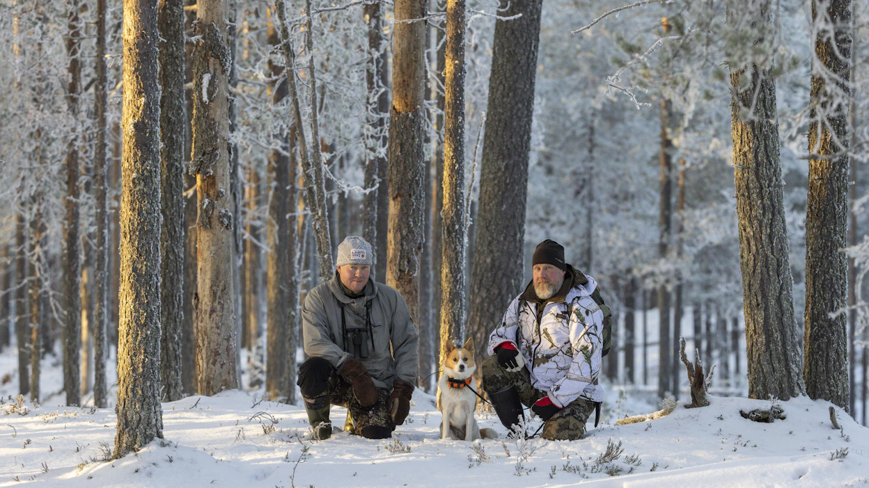 Pohjanpystykorva Murtsukan Riemun työskentelyä seurasi tuomari Simo Kinnunen. OIkealla koiran omistaja Harri Kärkkäinen.