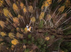 Päästäkseen kymmenen suurimman metsänomistajan joukkoon pitäisi omistaa noin 3300 hehtaaria metsää.