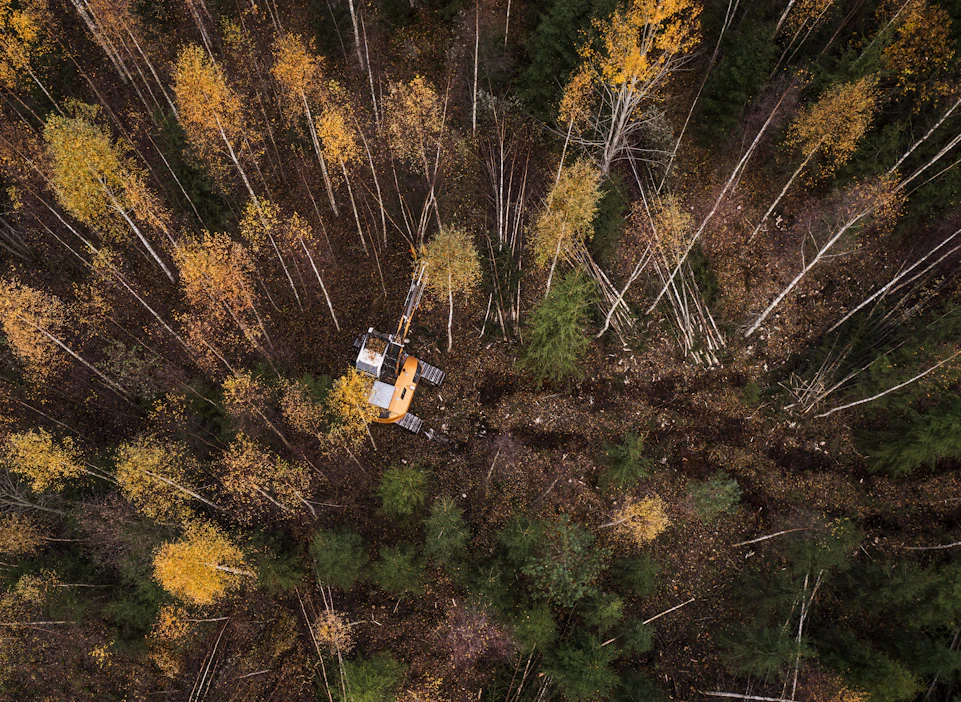 Päästäkseen kymmenen suurimman metsänomistajan joukkoon pitäisi omistaa noin 3300 hehtaaria metsää.