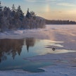 Saukko valitsee reviirinsä sillä perusteella, että avoveteen pääsee pulahtamaan kovassakin pakkasessa.