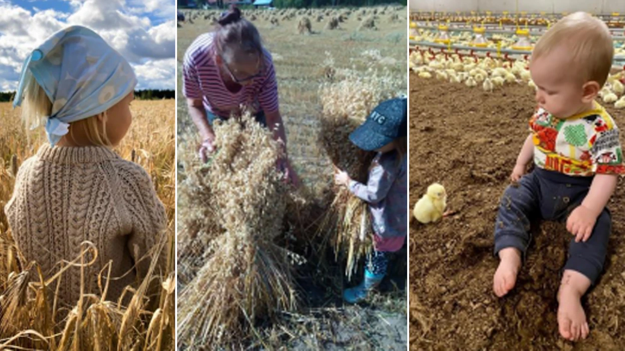 Vasemmalla 296 äänellä kisan voittaneen jalasjärveläisen <strong id="strong-28dce3d8447941c989c06f978719e187">Salla Kurikan </strong>valokuva ”Kasvukunnosta huolehtiminen on tärkeä. Keskellä 266 äänellä toiseksi tulleen ilmajokelaisen <strong id="strong-d9d436076d9283f3c6530862effc9dfb">Marianne Lehtisen</strong> kuva ”Sukupolvelta toiselle”. Oikealla 171 äänellä kolmannseksi sijoittuneen nurmolaisen <strong id="strong-2b7fe68fbe112864b026bb0952292be1">Elina Ylisen</strong> otos ”Kaksi untuvikkoa”.