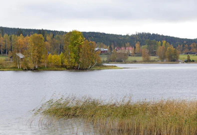 Viime viikon keskiviikkona Korpilahden Maatianjärvellä oli vilpoisen näköistä. Tällä viikolla Suomeen saattaa kuitenkin levitä hyvin lämmintä ilmaa ja sopivissa olosuhteissa lämpömittarit saattavat näyttää jopa yli 15 lämpöastetta.