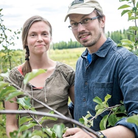 Iiris ja Tuomas Mattila omenatarhassa, joka on istutettu suojaamaan jyrkkää peltolohkoa eroosiolta.