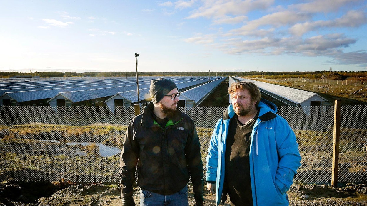 Turkiseläinten lannalla on iso energiapotentiaali, projektipäällikkö Marko Malvisto ja yrittäjä Marko Meriläinen sanovat. Meriläisen turkistilalla Halsualla lantaa kertyy 10 000 tonnia vuodessa.