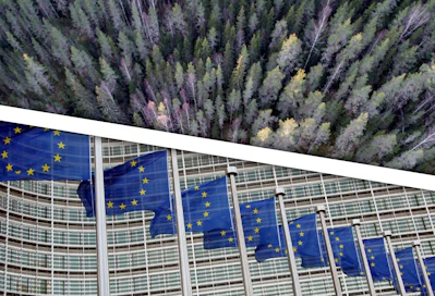 Euroopan komission metsästrategia ei tuo konkreettisia muutoksia metsätiloille – vielä.