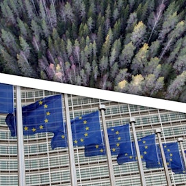 Euroopan komission metsästrategia ei tuo konkreettisia muutoksia metsätiloille – vielä.