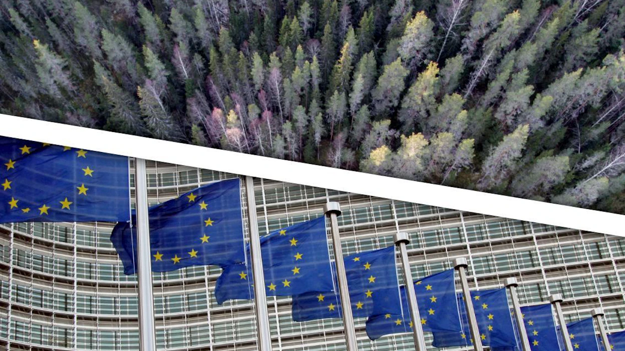Euroopan komission metsästrategia ei tuo konkreettisia muutoksia metsätiloille – vielä.