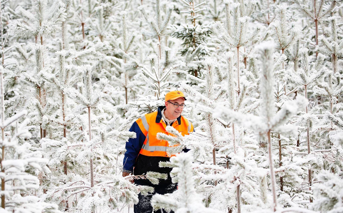 MTK:n metsävaltuuskunnan puheenjohtaja Mikko Tiirola vakuuttaa, että Suomessa metsätalous on vastuullista.