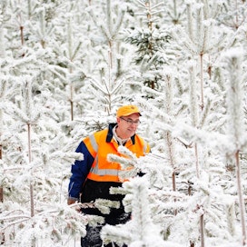 MTK:n metsävaltuuskunnan puheenjohtaja Mikko Tiirola vakuuttaa, että Suomessa metsätalous on vastuullista.