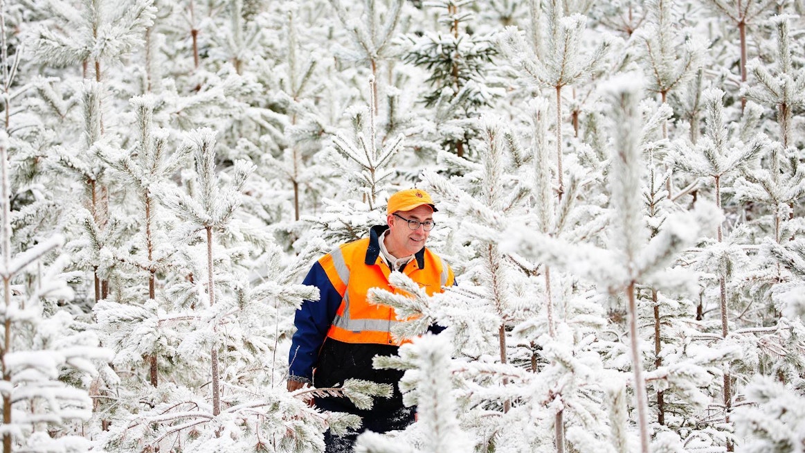 MTK:n metsävaltuuskunnan puheenjohtaja Mikko Tiirola vakuuttaa, että Suomessa metsätalous on vastuullista.