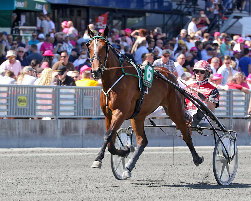 Elitloppet-sunnuntaina kolmivuotiaiden Tammaeliitissä viidenneksi sijoittunut Daze on yksi Eskilstunan E3-karsintoihin matkaavista.