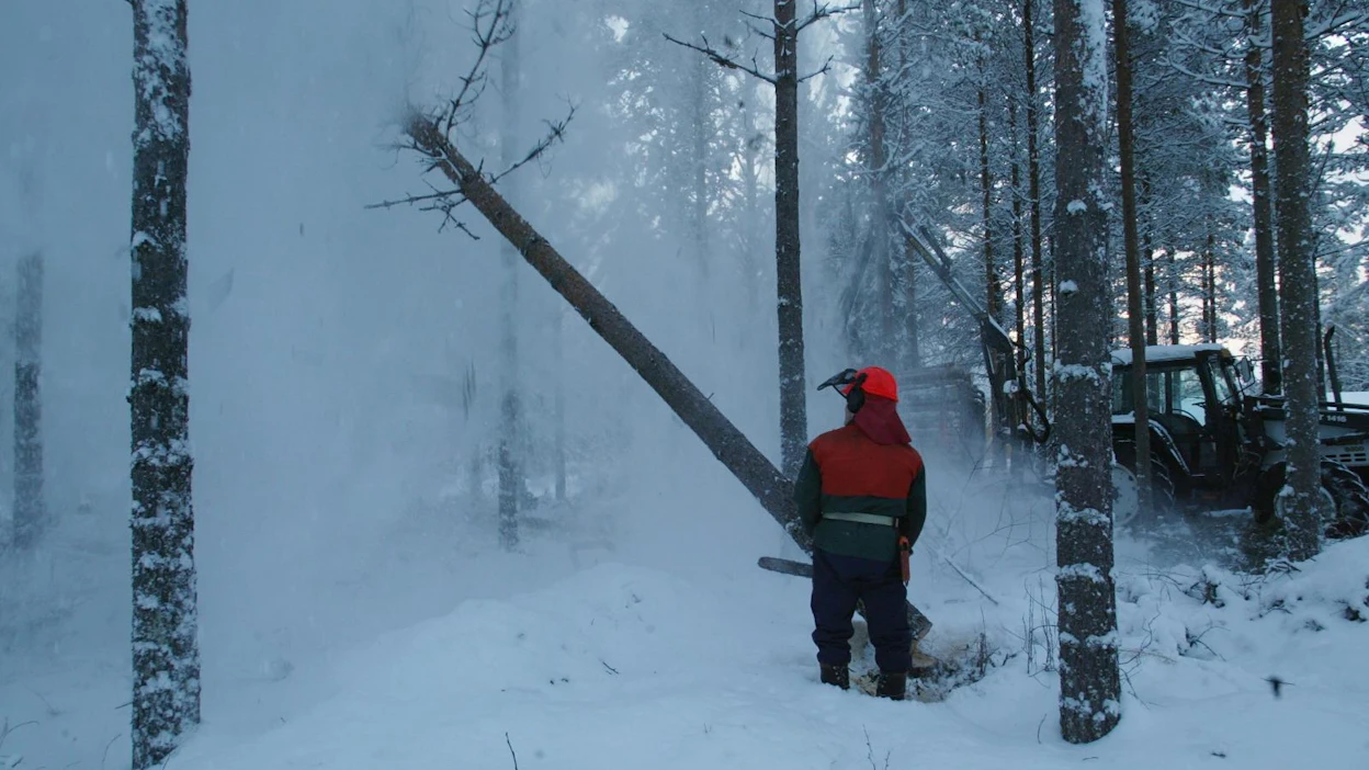 Metsätalouden menot vähennetään sekä Suomen että sen maan verotuksessa, mistä metsää omistaa, jos maan verosäännökset sen sallivat.