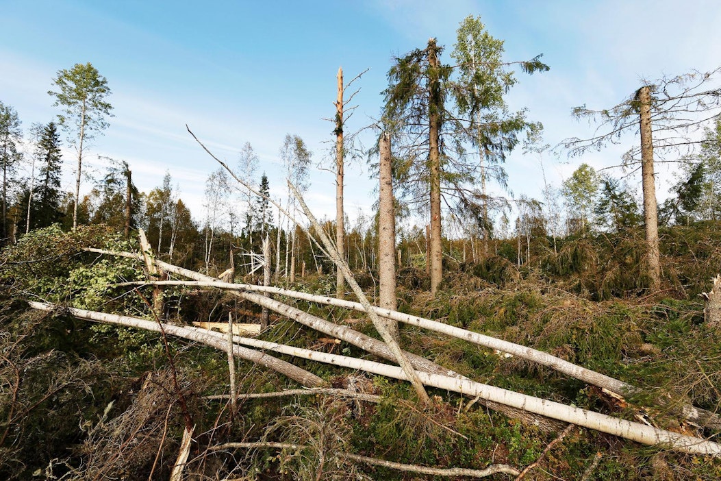 Poikkeavilla sääilmiöillä on suuria taloudellisia vaikutuksia.