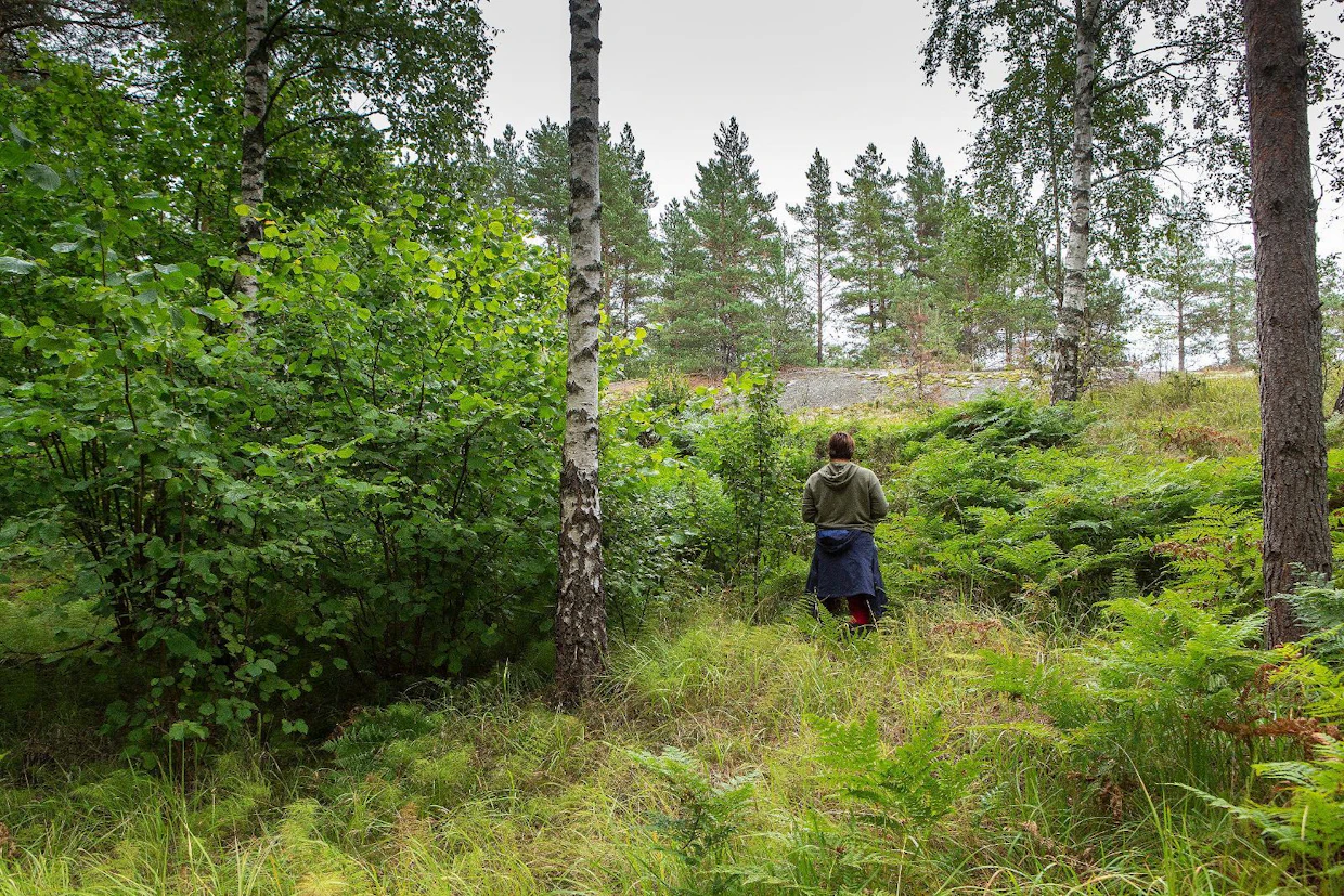 Purunpäässä vuorottelevat kallioiset metsät ja niiden väliin jäävät painanteet. Sisäsaariston luonto muuttuu suoraan ulkosaaristoksi niemen nokkaan mentäessä.