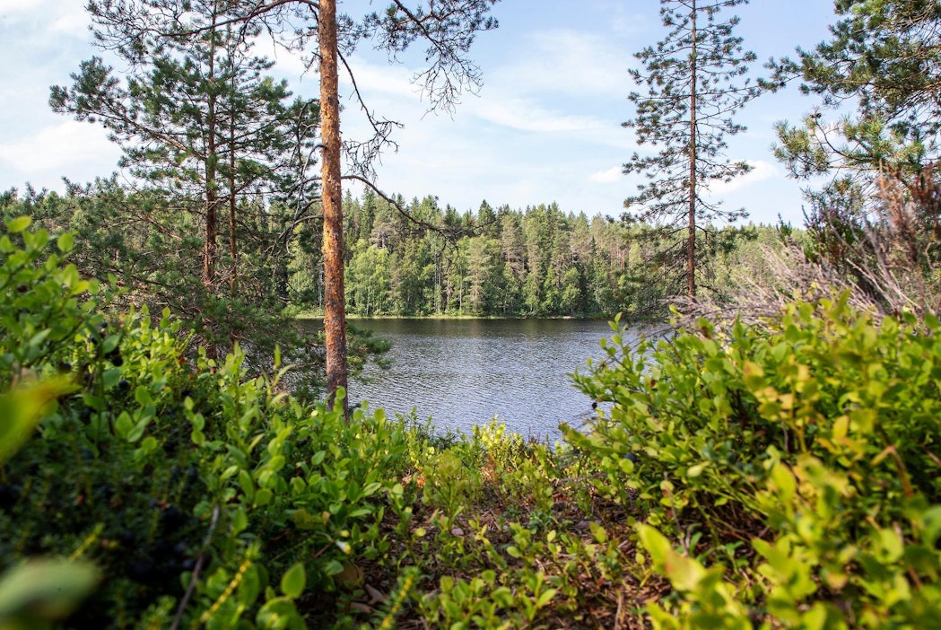 Suomen puhdas luonto tekee usein vaikutuksen kansainvälisiin matkustajiin.